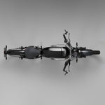 #tank_tank_schwarz_seat_sattel_schwarz_mudguards_carbonfaser-kotflügel_und_mattschwarze_einlagen_am_batteriegehäuse